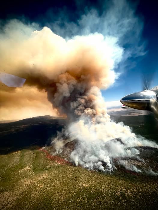 Smoke on the Bear Fire