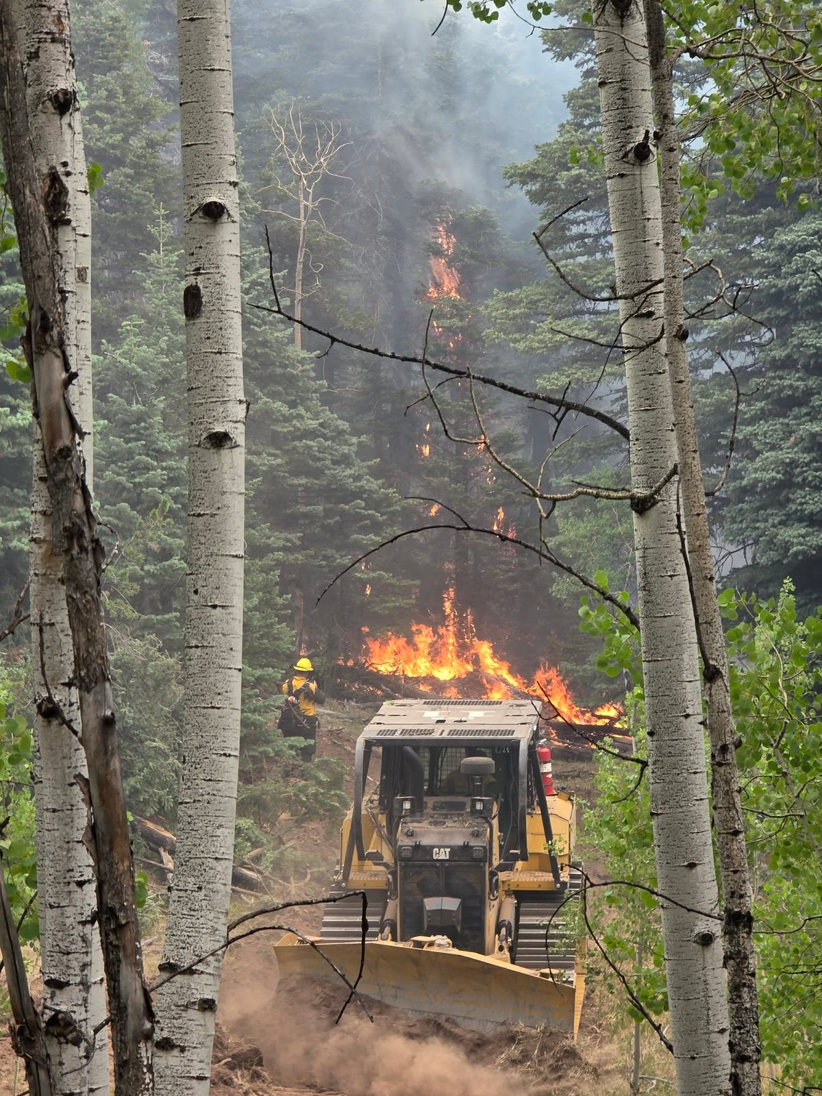 Bulldozer creating a fire break