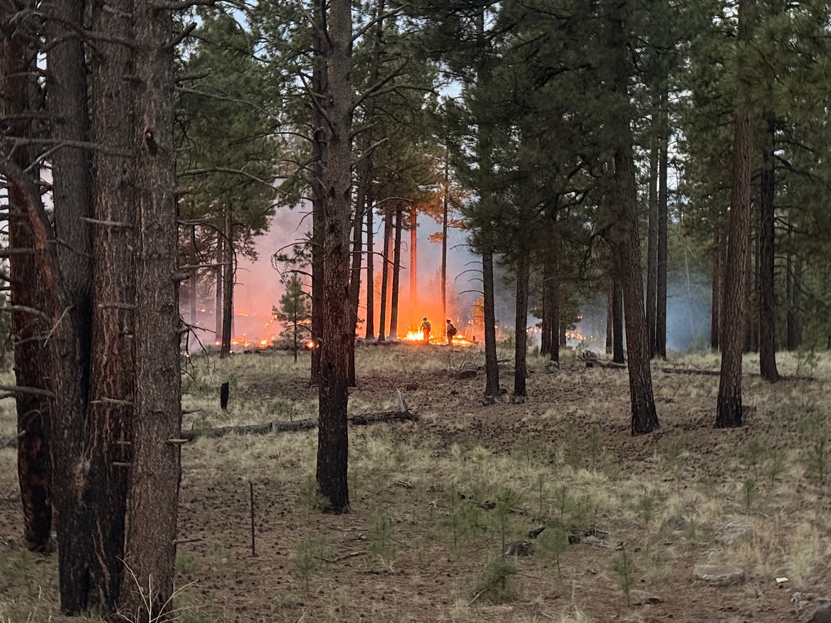 Strategic firing operations June 25
