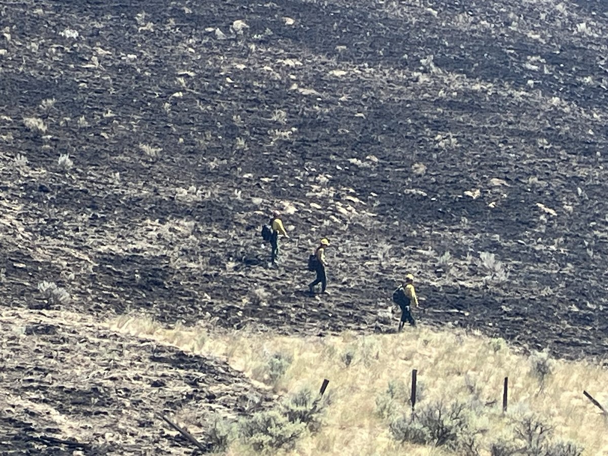 Firefighters Cold Trailing on Roza Fire