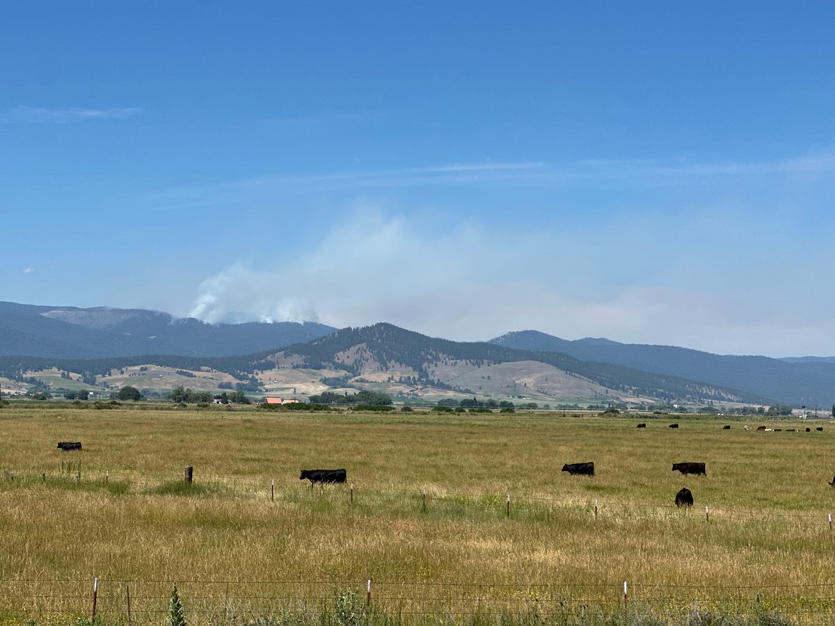 Anthony Fire 7-11-2026