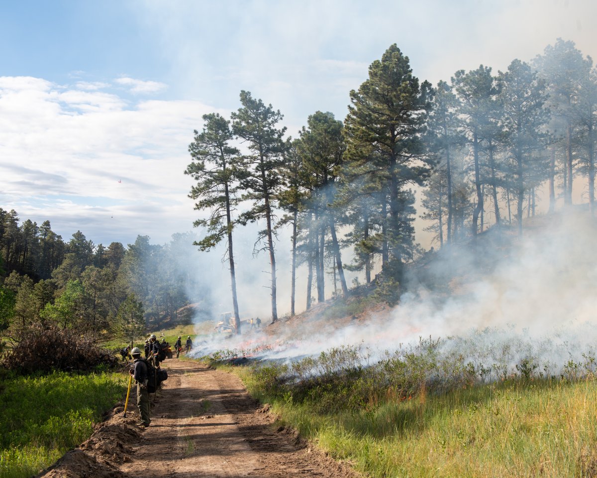 South Fork Fire - WYO Hot Shots