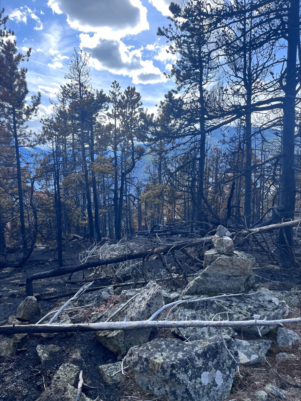 East Side Fire May 12, 2026 photo 2