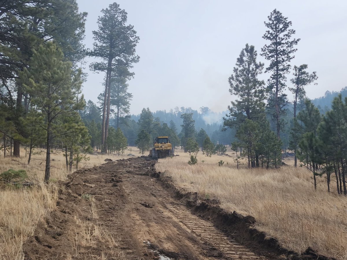Dozer fireline