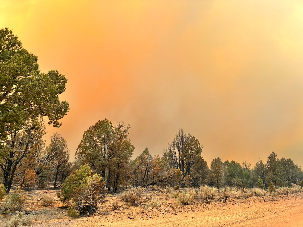 Smoke on northeast side of Grapevine Fire on June 26, 2026