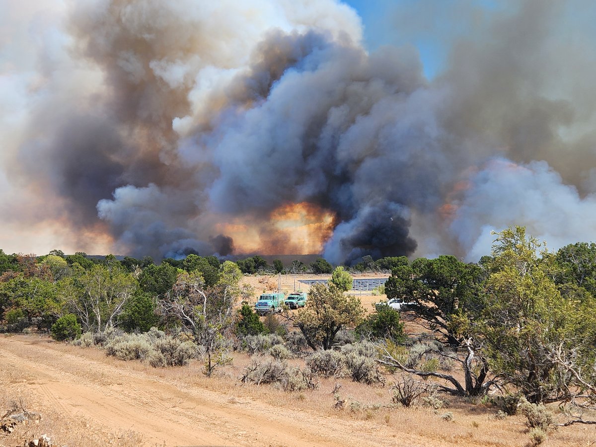 AZ Rock Canyon Fire - Buring in Pinyon Juniper and Grass 06-15-2026