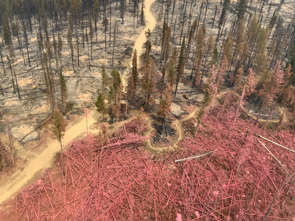 Containment line south of fire.