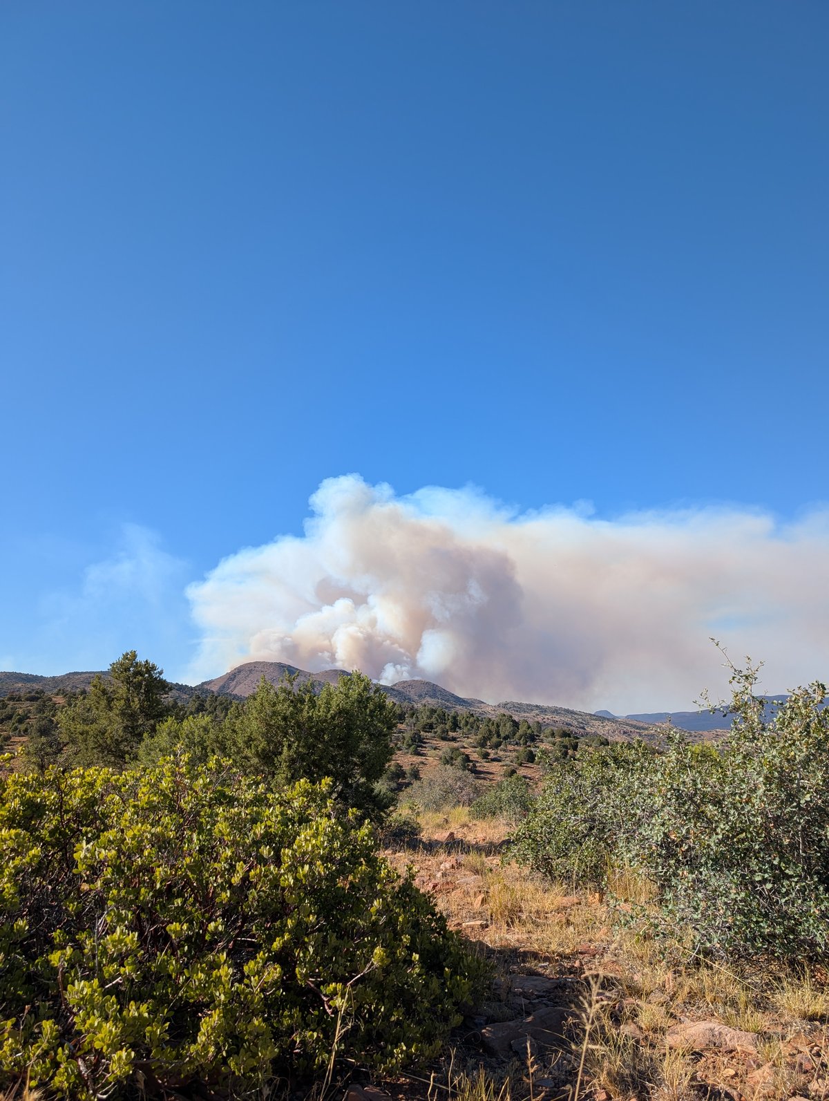 Fire activity 061926