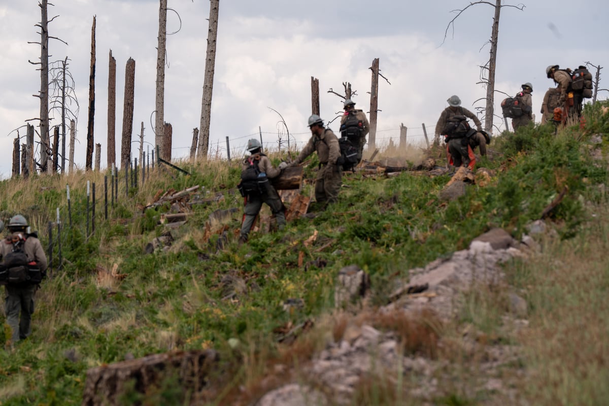 Crew Working Along Burned Ridge on Sacaton Fire