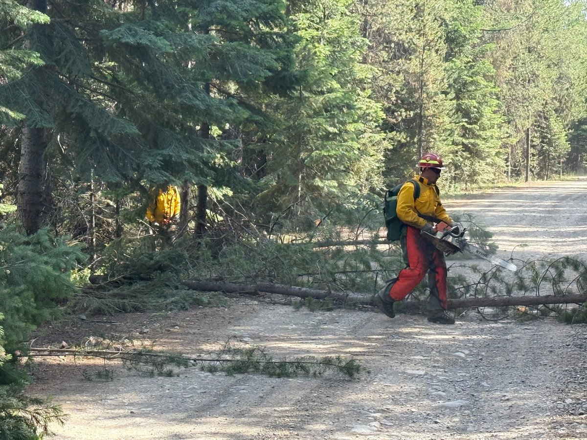 Brushing along the Road