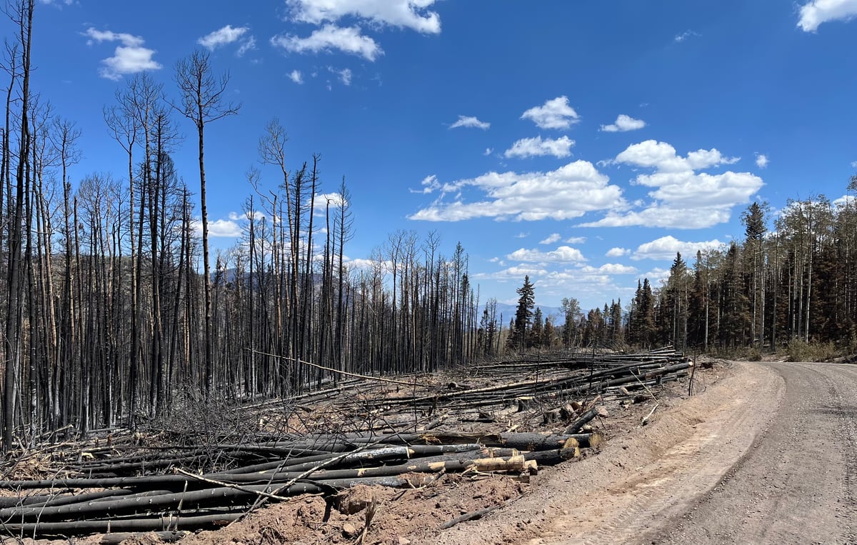 Hazard tree removal along Hwy 153, east of Junction 7.8.26