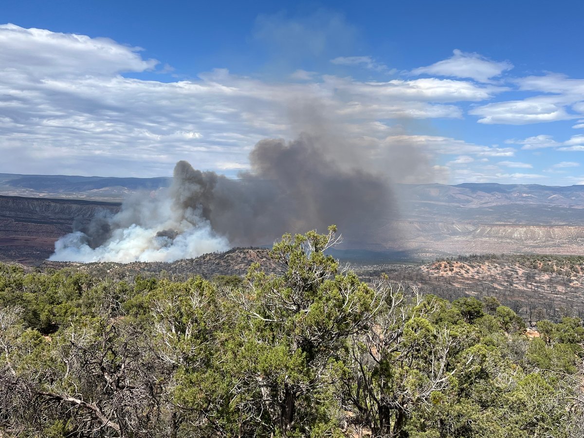 June 10th Beehive Fire
