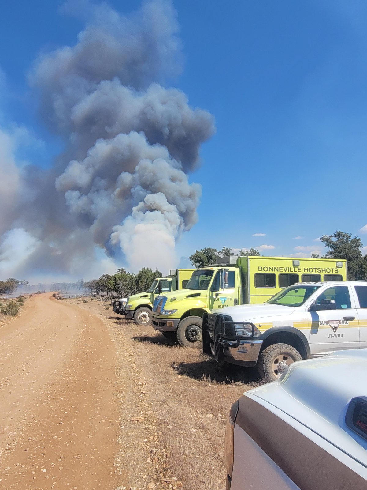 AZ Rock Canyon Fire - Interagency Response 06-16-2026