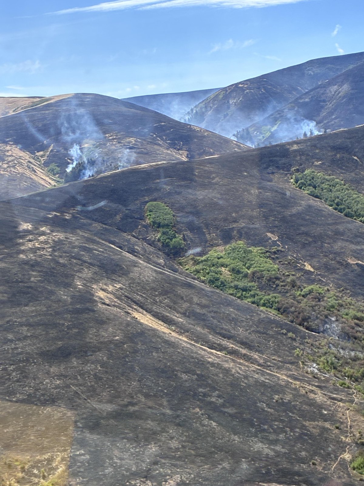 North Cayuse Fire - July 8