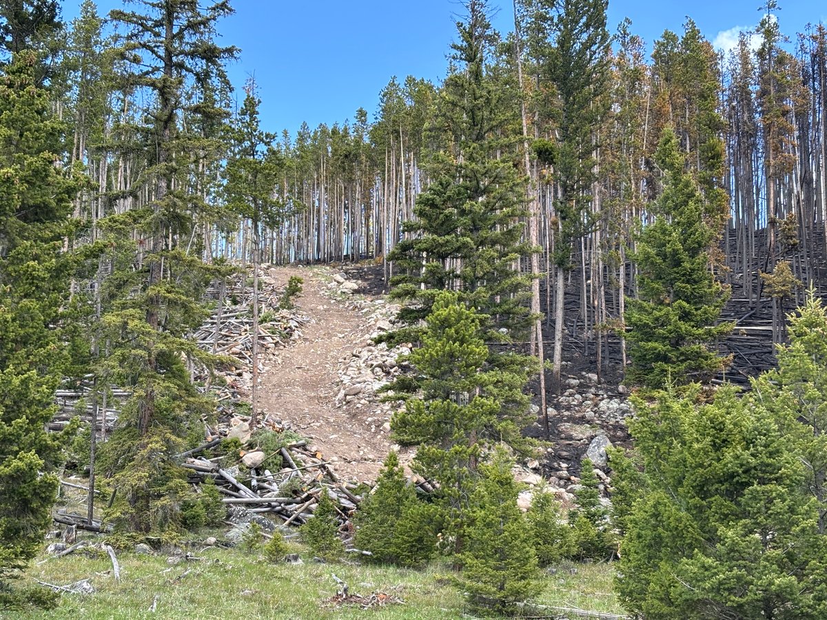 Jericho Creek 3