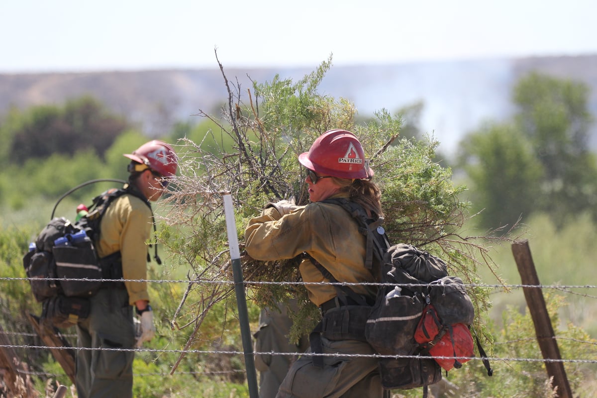 Firefighters remove brush