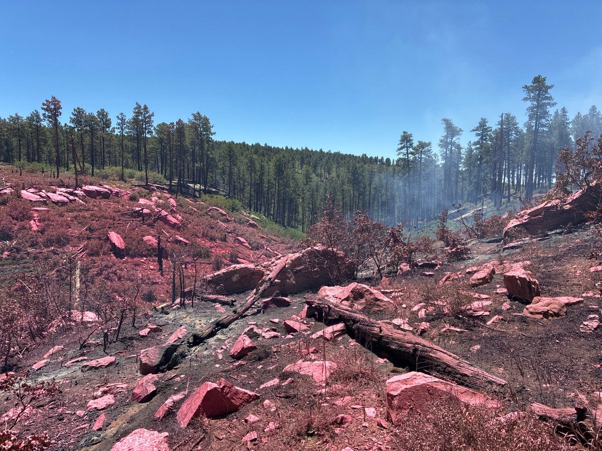 20260702 Ferris retardant drop