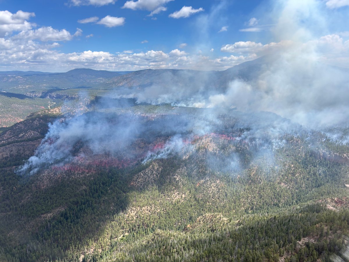 Recon flight on June 25