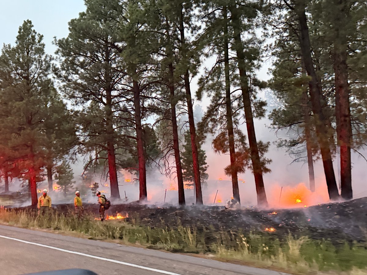 Strategic firing operations June 25