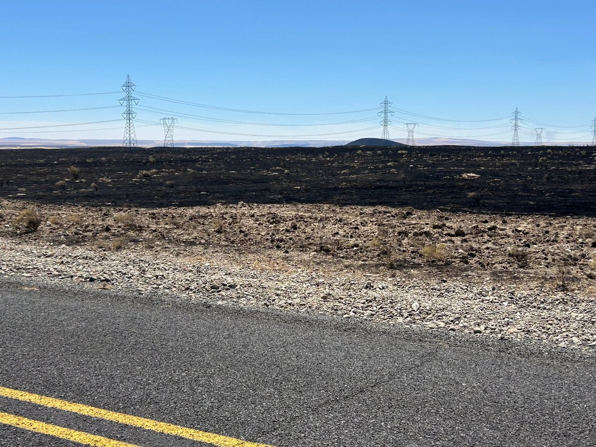 Hopkin Fire - Looking South