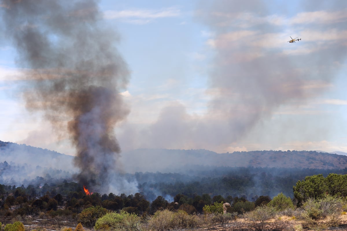 Division Alpha east side of the fire 062526