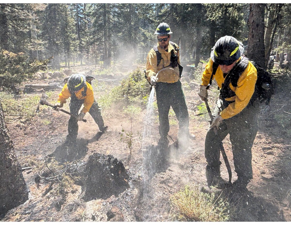 Cooling Hotspots: Mop-Up Operations on the Cottonwood Fire
