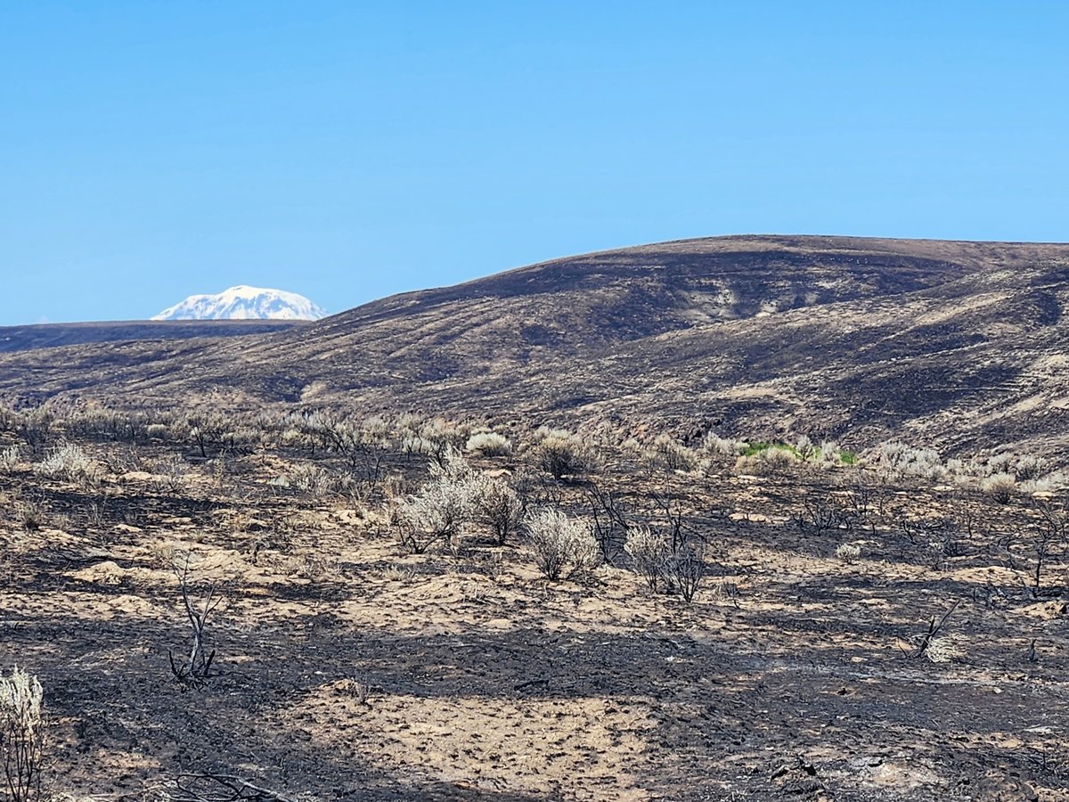 Photo of the Tule Road Fire with Mt Adams in the background