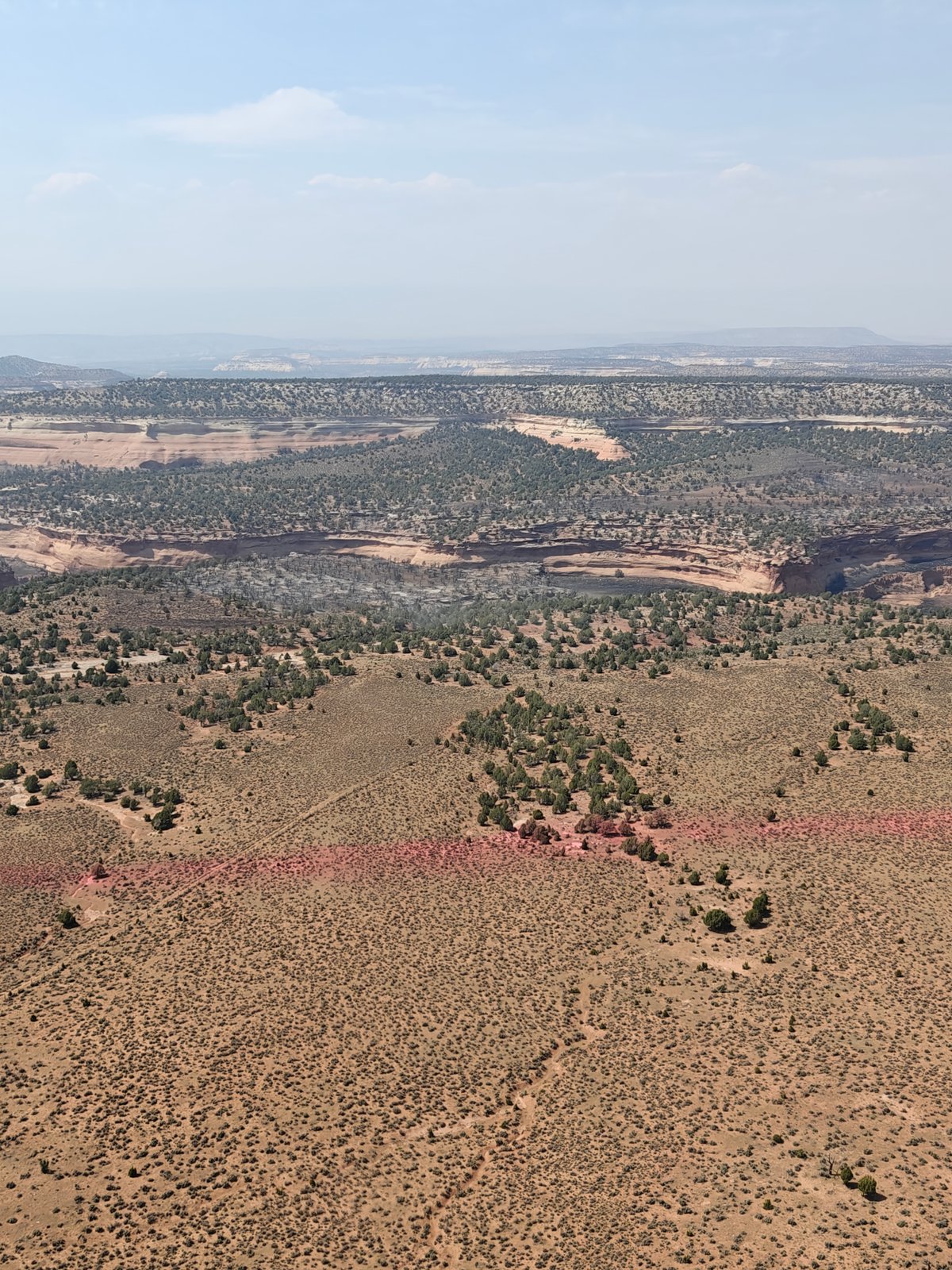 Red Retardant in Front of Burned Area
