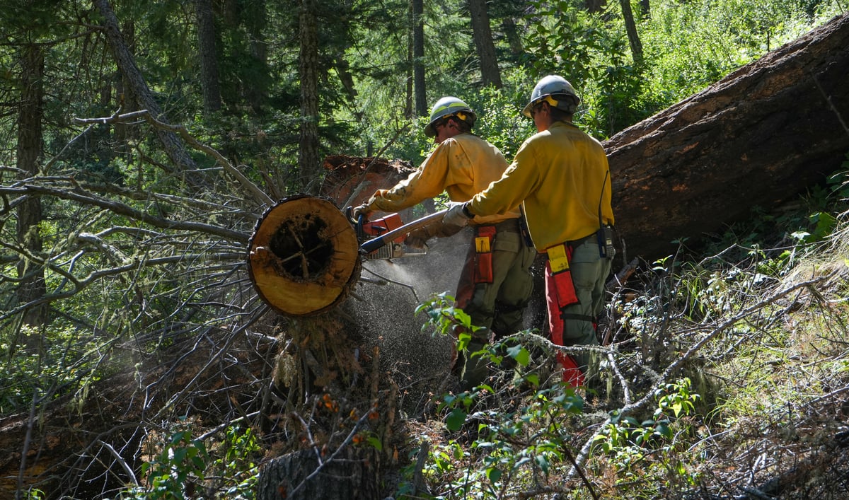Crew Cutting Logs in Willow Creek