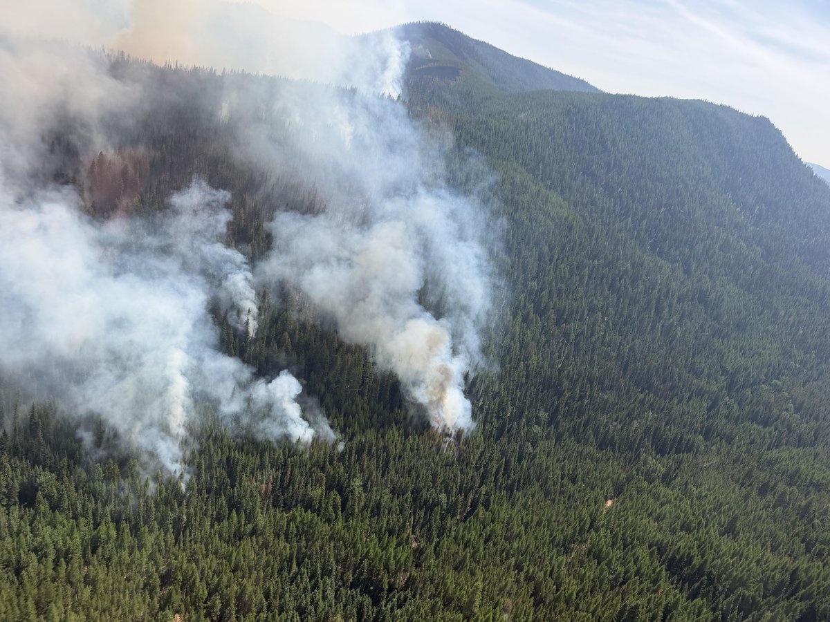 Strategic Burning Operations, Anthony Fire Northwest Corner - July 19