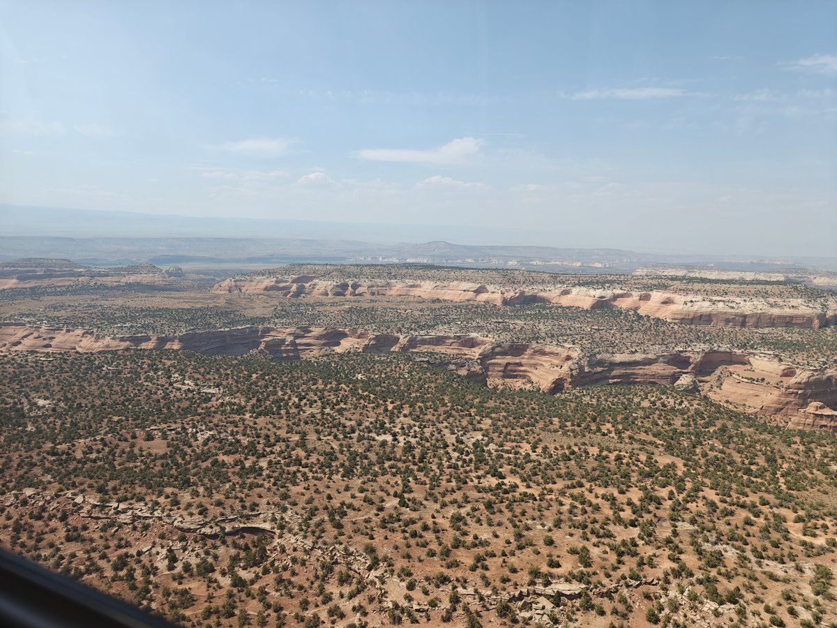 Terrain and Vegetation Found on the Snyder Fire