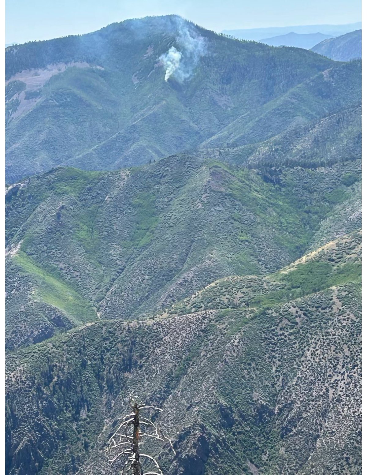 Sacaton Fire from Mogollon Baldy Lookout the afternoon ...