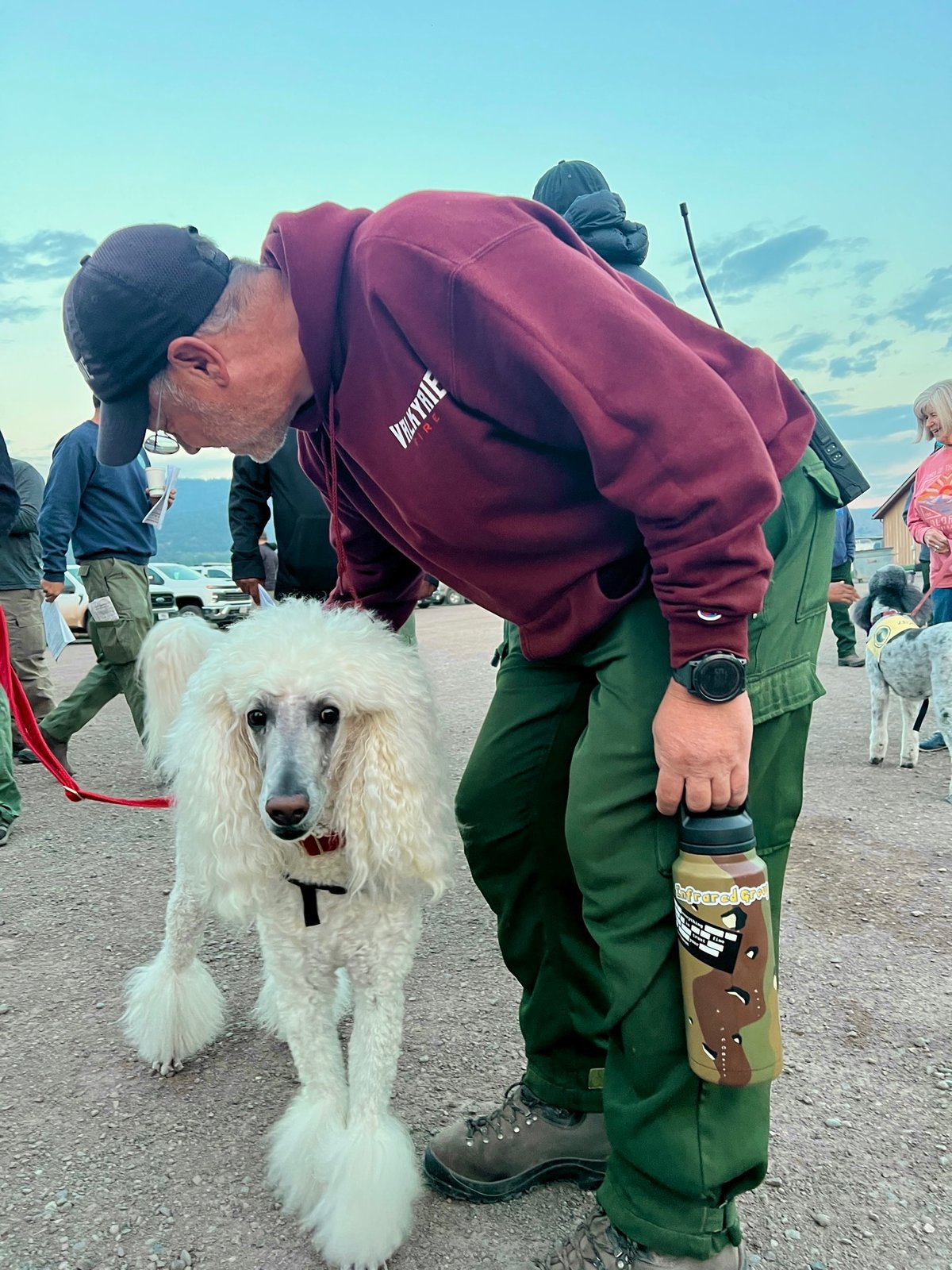 Gold Mountain Fire Therapy Dog July 8, 2026