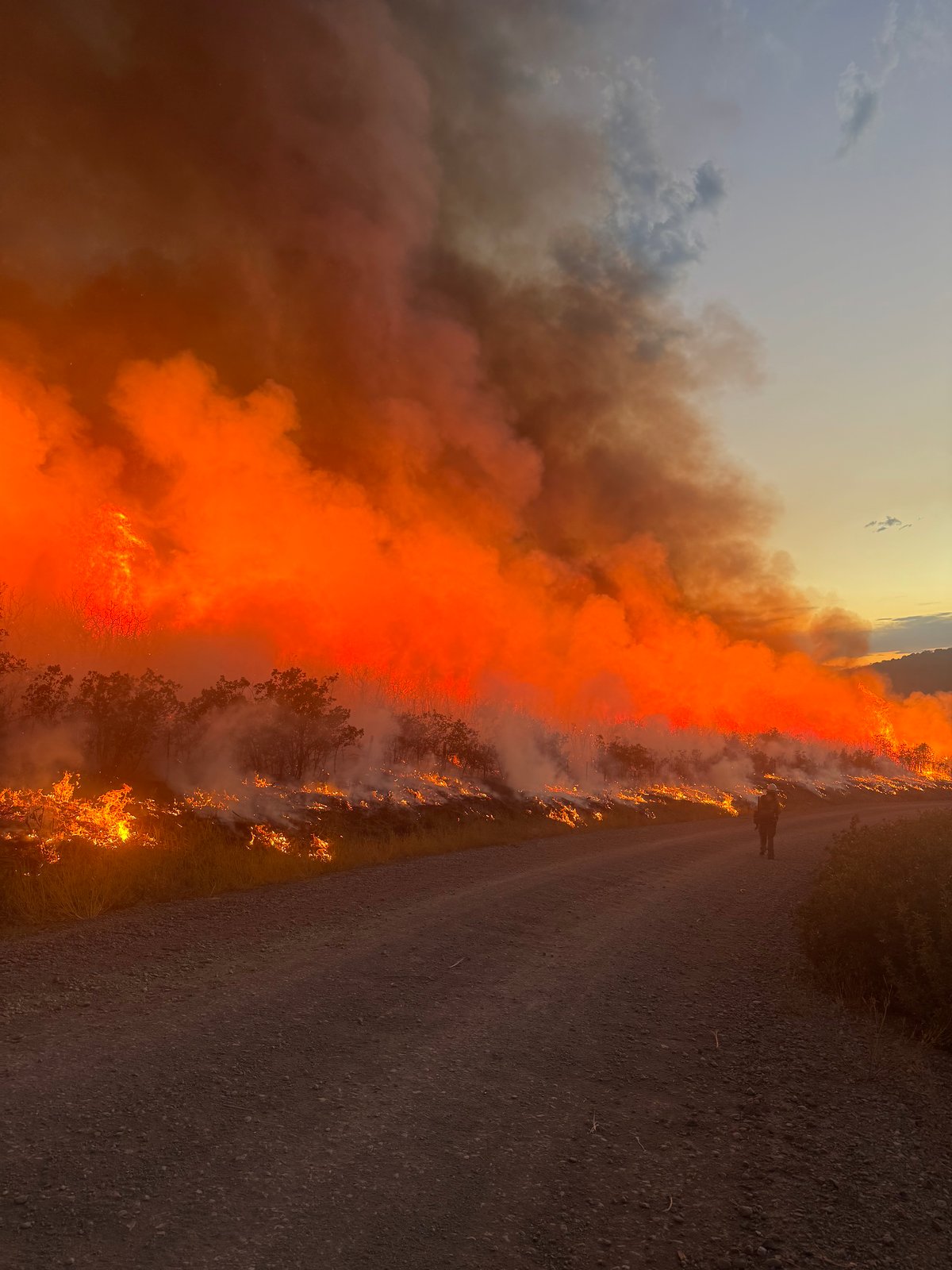 Gold Mt Firing Operations July 8, 2026