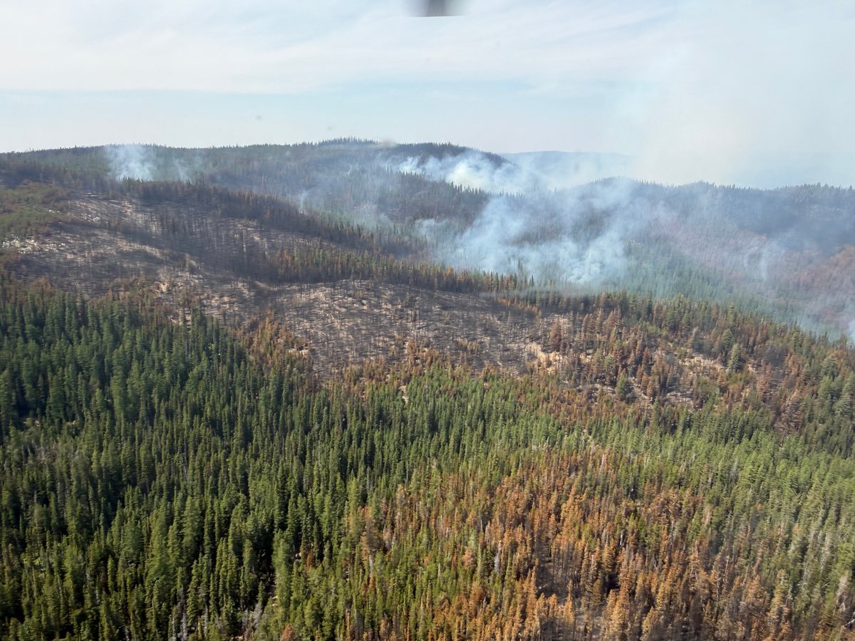 Anthony Fire southwest corner- July 19