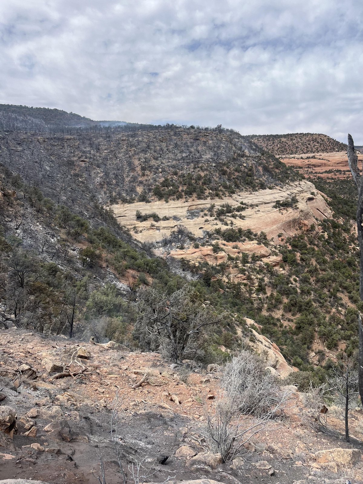 June 10th Beehive Fire Burned Area