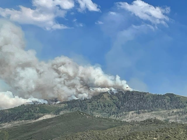 Gold Mountain Fire Ridge