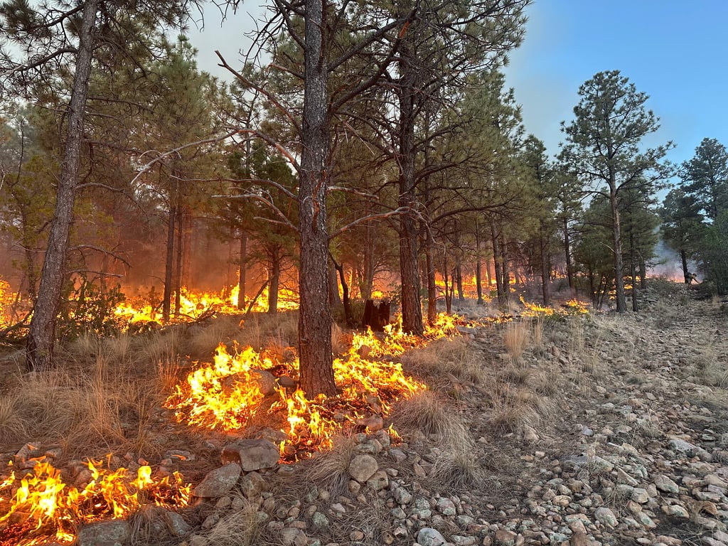 Seven Cabins Fire-Ground Ignitions-May 21,2026