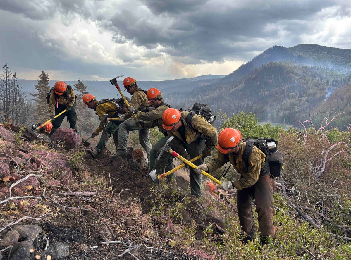 Los Padres Hotshots working on Cottonwood Fire