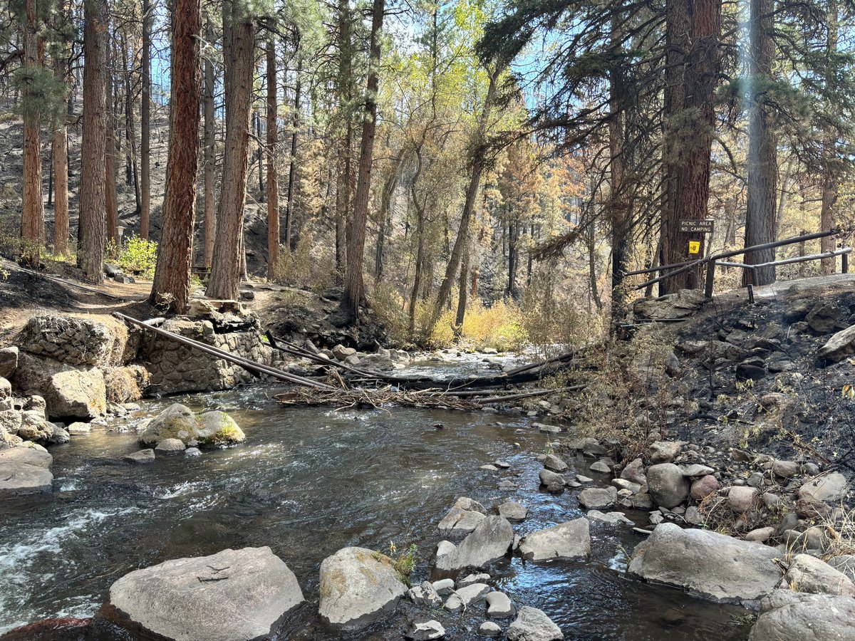 Beaver Creek at Ponderosa Picnic Area 7.12.26