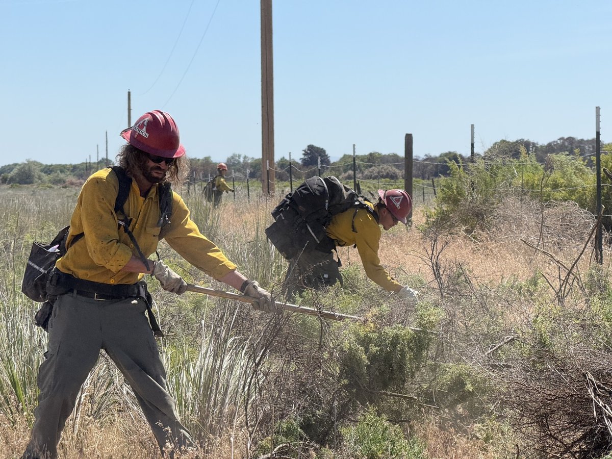 Firefighter removes brush along dozer line on the 4179 Tule Rd Fire