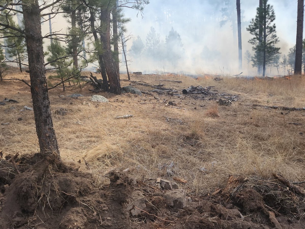 Fire behavior March 14, 2026
