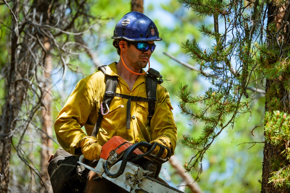 Sawyer on Willow Fire