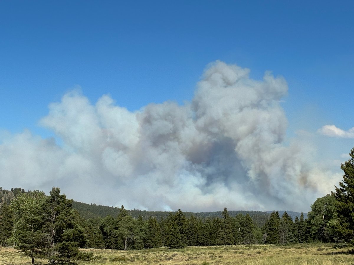 Rising Smoke