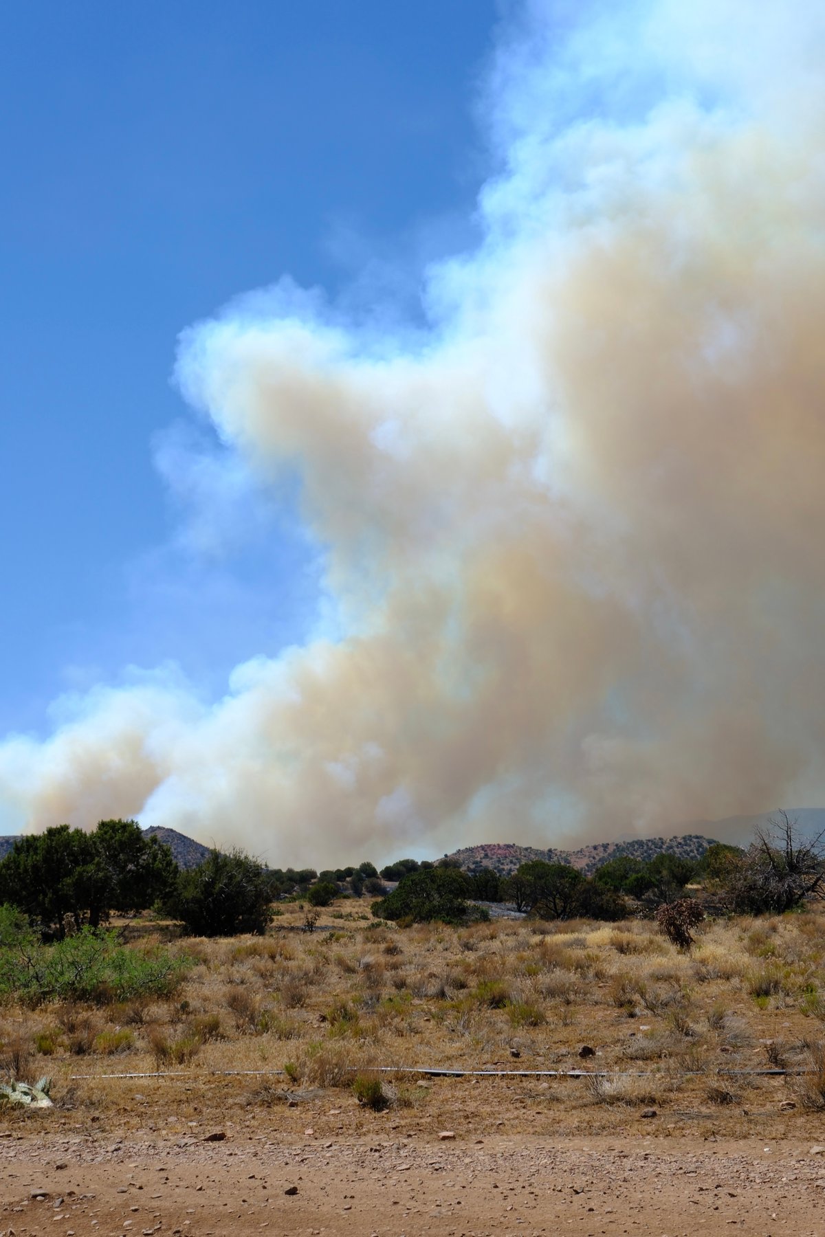Fire activity east side 061926