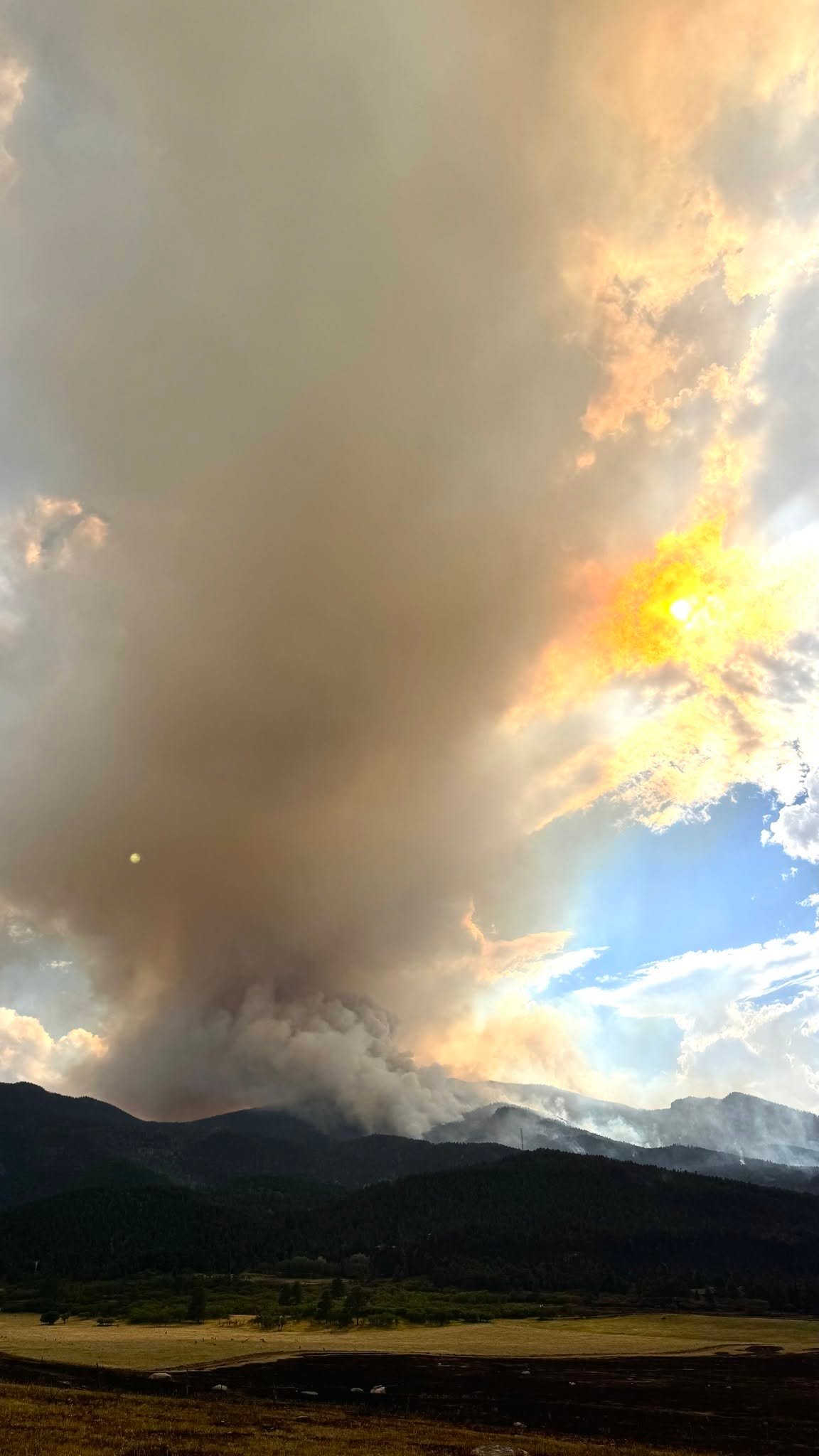 Thunder Mountain Fire Mitigation