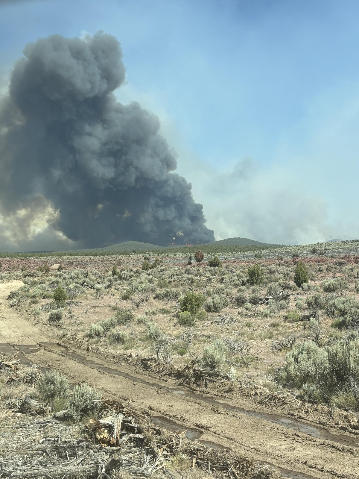 Grapevine Fire smoke plume on June 22, 2026