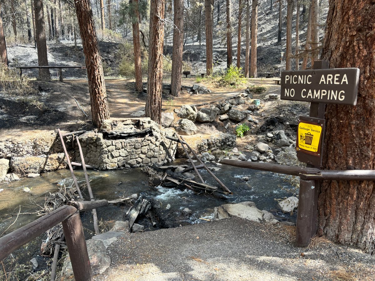 Ponderosa Picnic Area 7.12.26