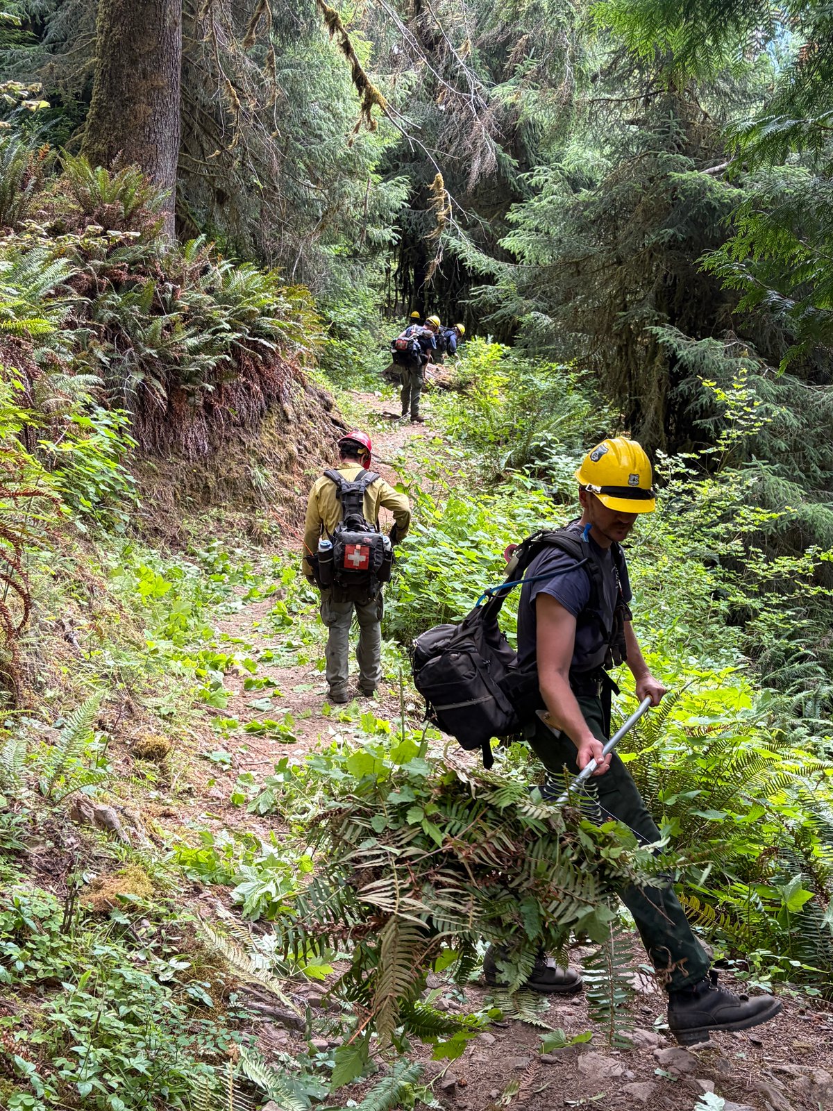 Crew Clearing Brush Along Hoh River Trail