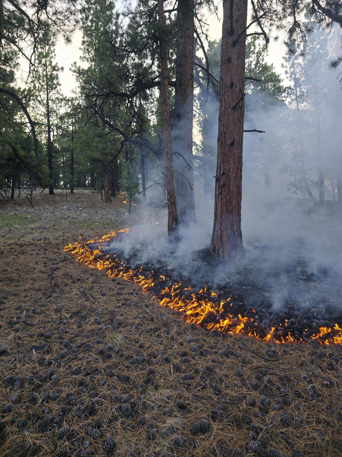 Low Intensity Fire Burns Resulting from Operations on t...